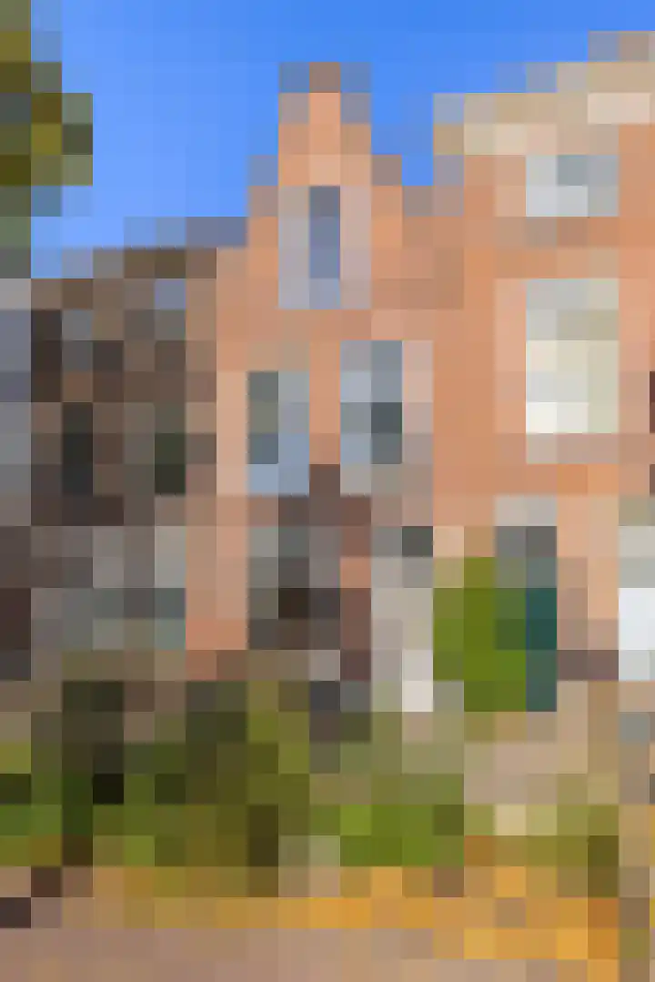 Levendaal 124 Leiden thumbnail 7
