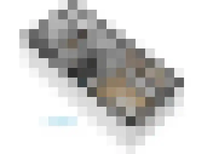 Levendaal 124 Leiden thumbnail 71