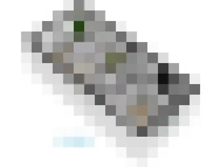Levendaal 124 Leiden thumbnail 73