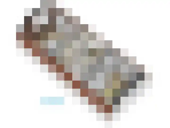 Levendaal 124 Leiden thumbnail 75