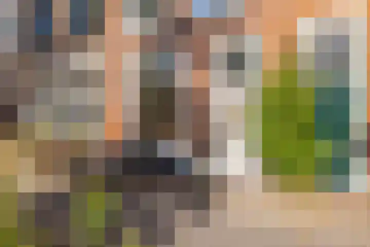 Levendaal 124 Leiden thumbnail 8