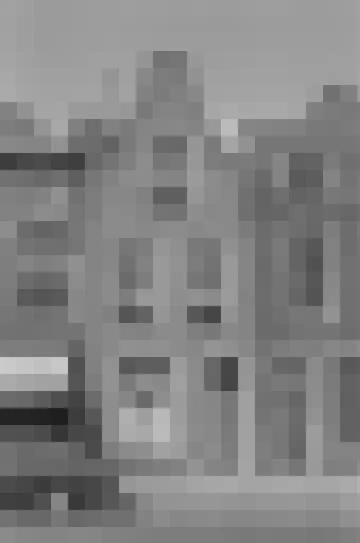 Levendaal 124 Leiden thumbnail 86