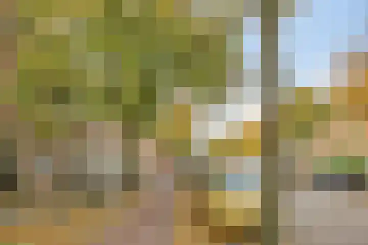 Levendaal 129 A Leiden thumbnail 23