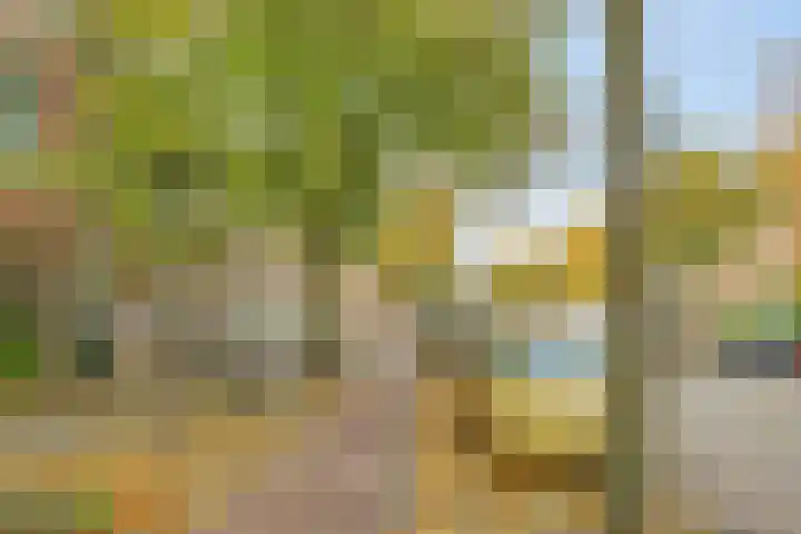 Levendaal 129 A Leiden thumbnail 24