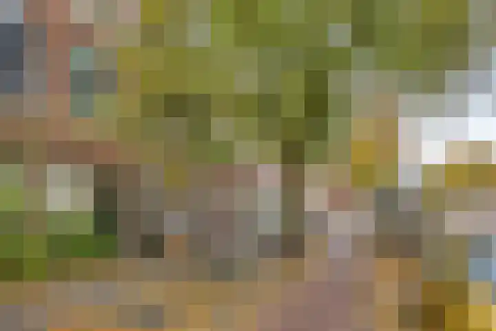 Levendaal 129 A Leiden thumbnail 25