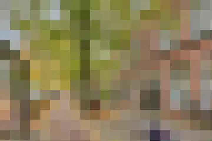 Levendaal 129 A Leiden thumbnail 26