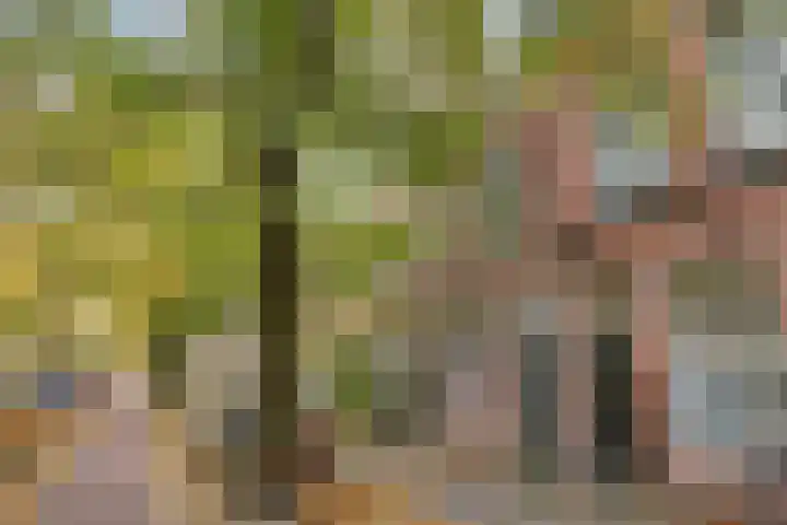 Levendaal 129 A Leiden thumbnail 27