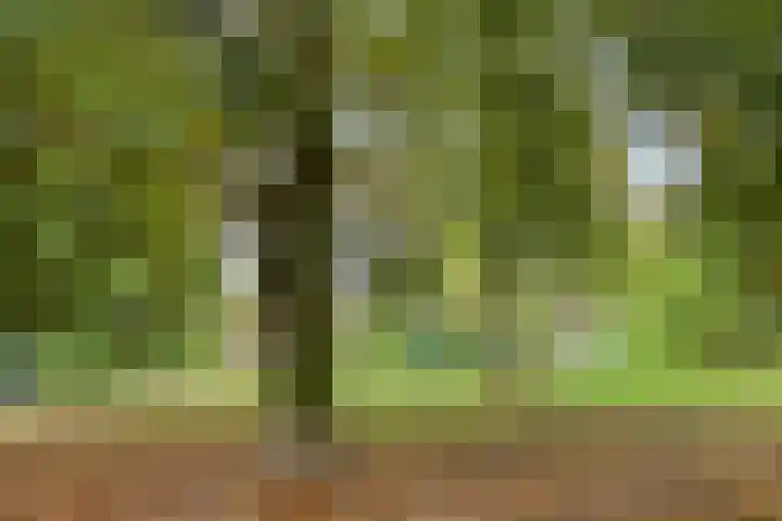 Levendaal 129 A Leiden thumbnail 28