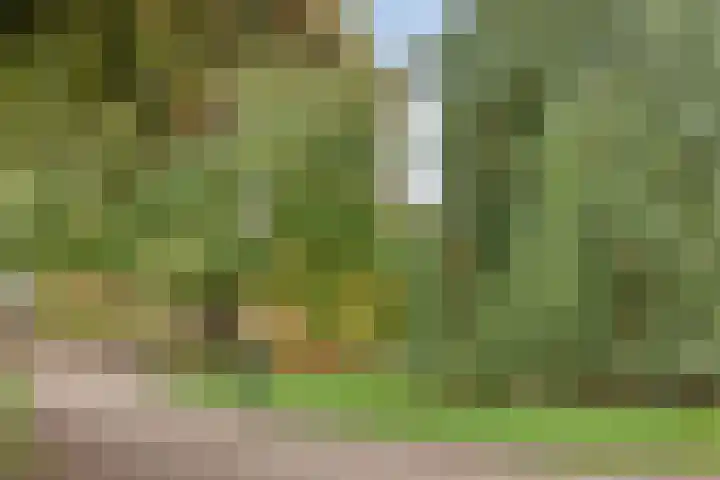 Levendaal 129 A Leiden thumbnail 29
