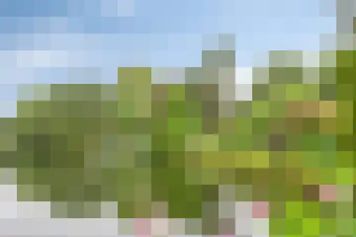 Levendaal 129 A Leiden thumbnail 30