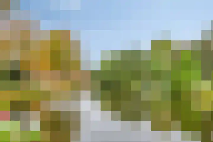 Levendaal 129 A Leiden thumbnail 31