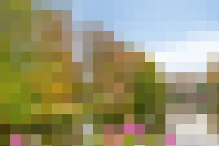 Levendaal 129 A Leiden thumbnail 4