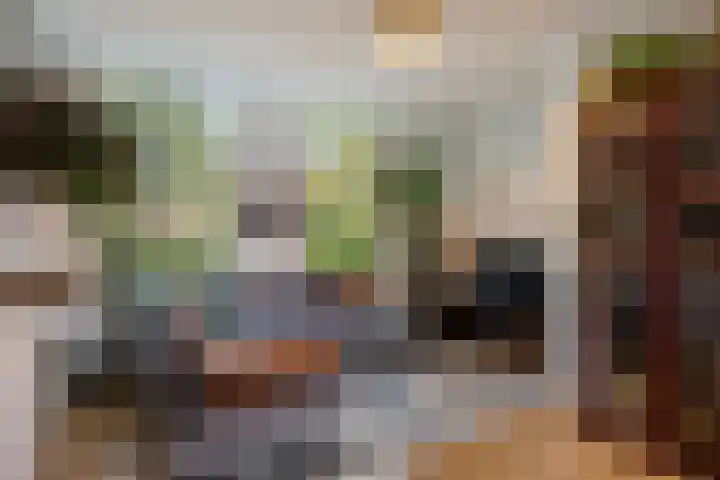 Levendaal 129 A Leiden thumbnail 8