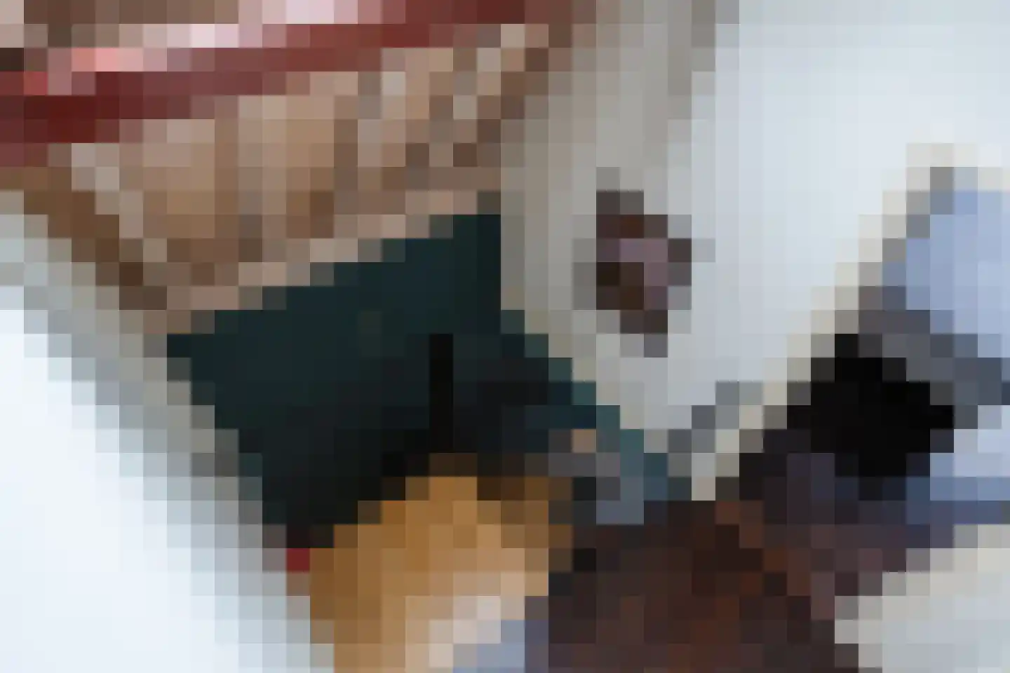 Levendaal 133 Leiden thumbnail 27