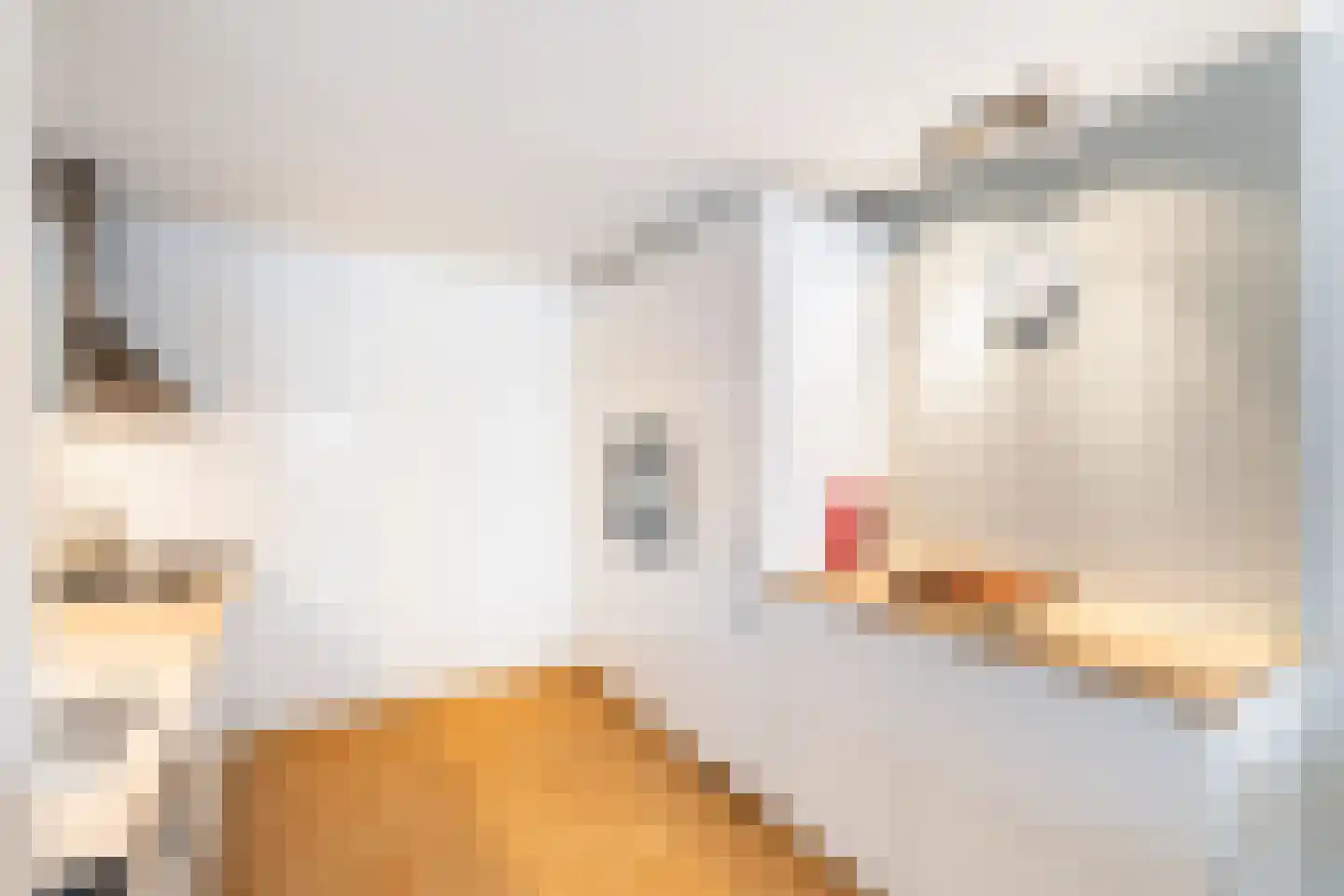 Levendaal 140 A Leiden thumbnail 18