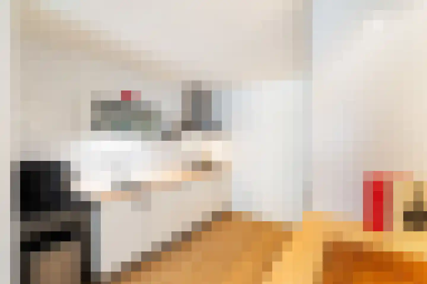 Levendaal 140 A Leiden thumbnail 19