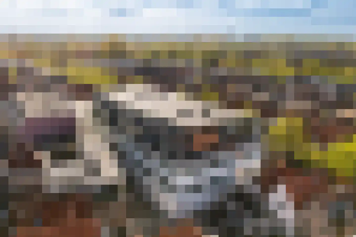 Levendaal 140 A Leiden thumbnail 31