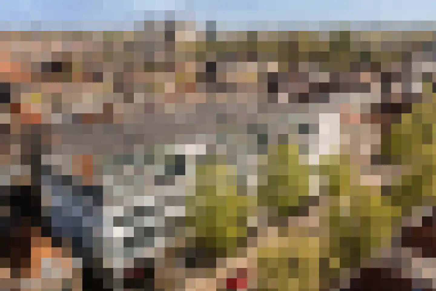 Levendaal 140 A Leiden thumbnail 32