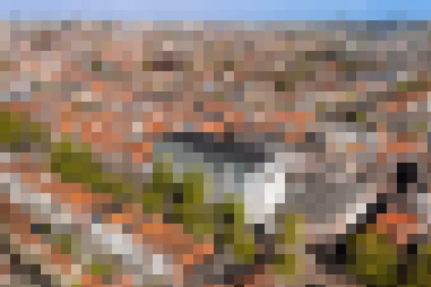 Levendaal 140 A Leiden thumbnail 33