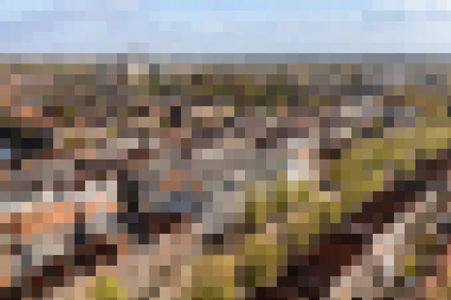 Levendaal 140 A Leiden thumbnail 34