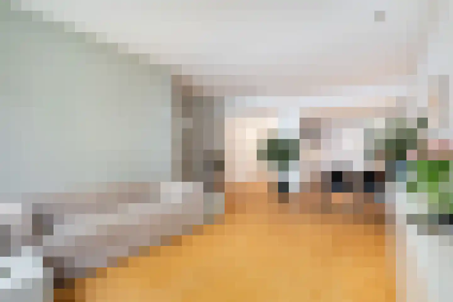 Levendaal 140 A Leiden thumbnail 8