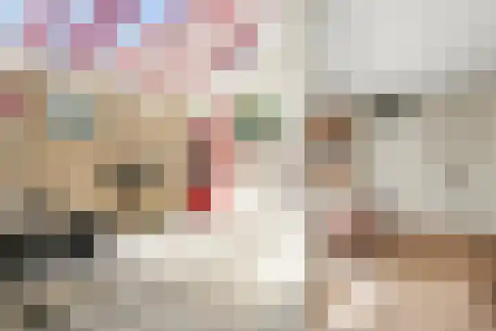 Levendaal 15 Ede thumbnail 21