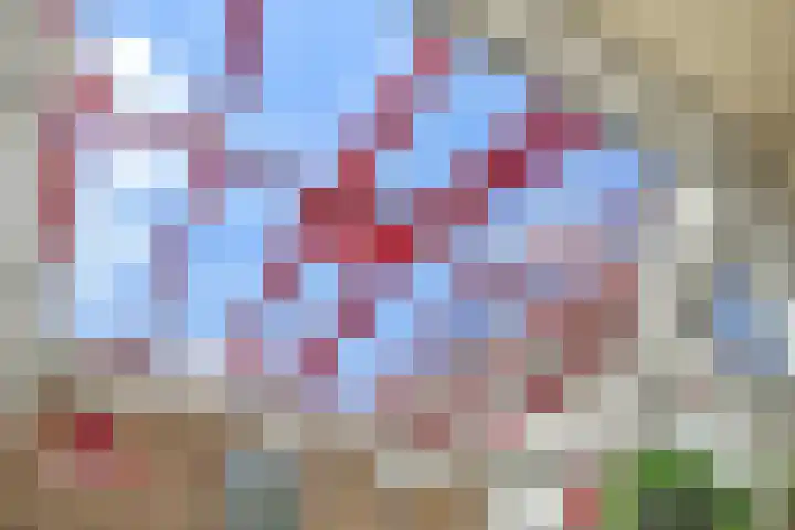 Levendaal 15 Ede thumbnail 23