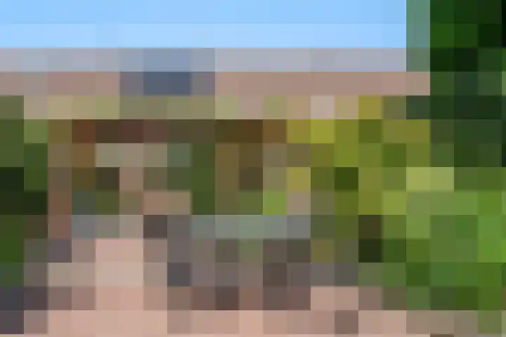 Levendaal 15 Ede thumbnail 4