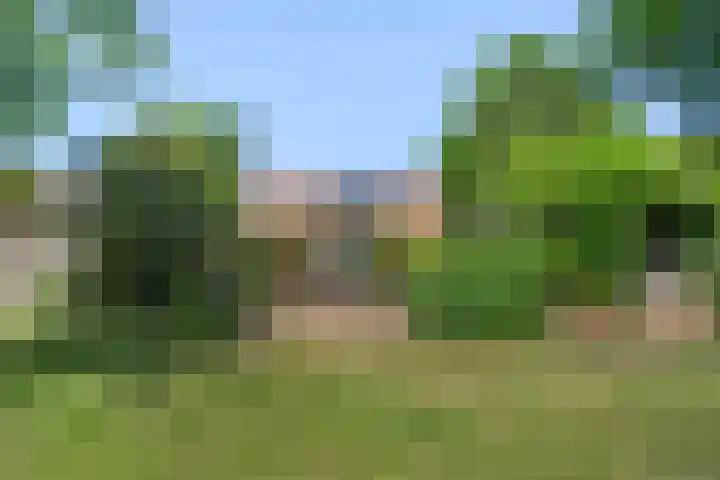 Levendaal 15 Ede thumbnail 40