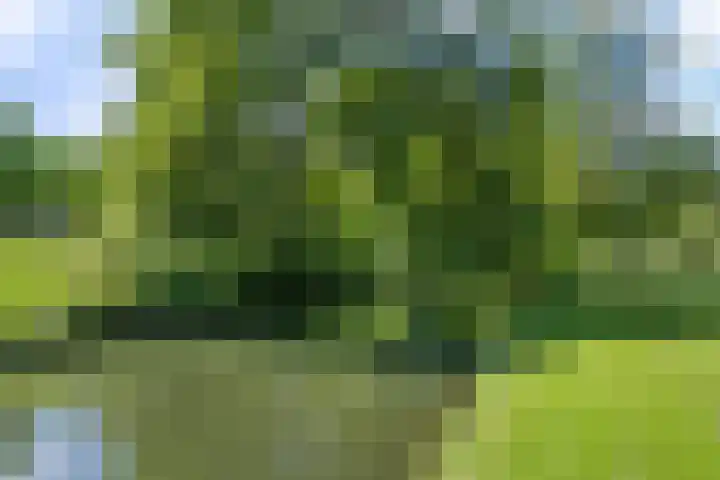 Levendaal 15 Ede thumbnail 41