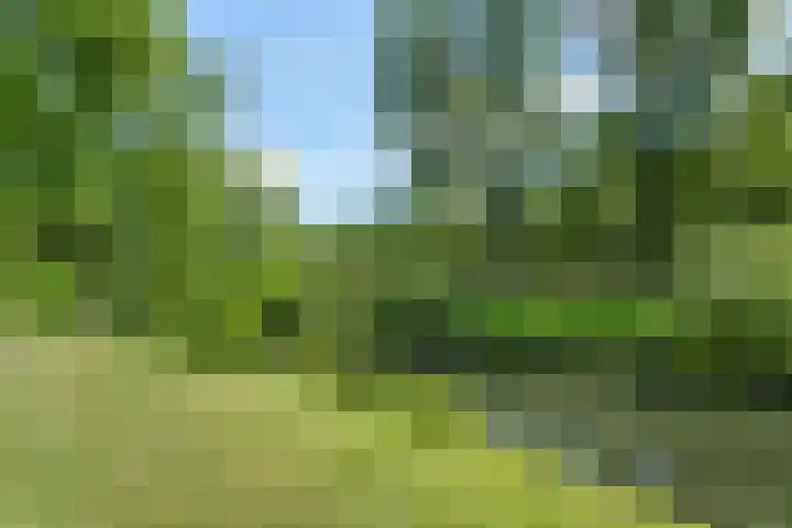 Levendaal 15 Ede thumbnail 42