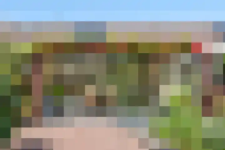 Levendaal 15 Ede thumbnail 5