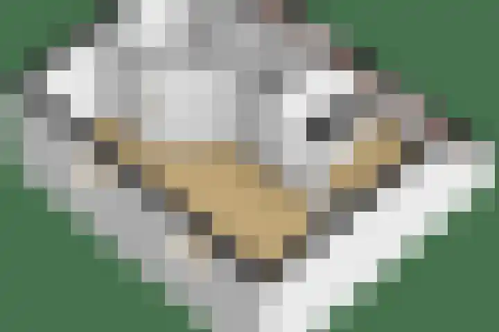 Levendaal 15 Ede thumbnail 52