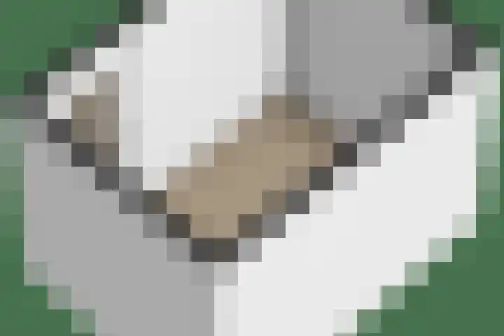 Levendaal 15 Ede thumbnail 54