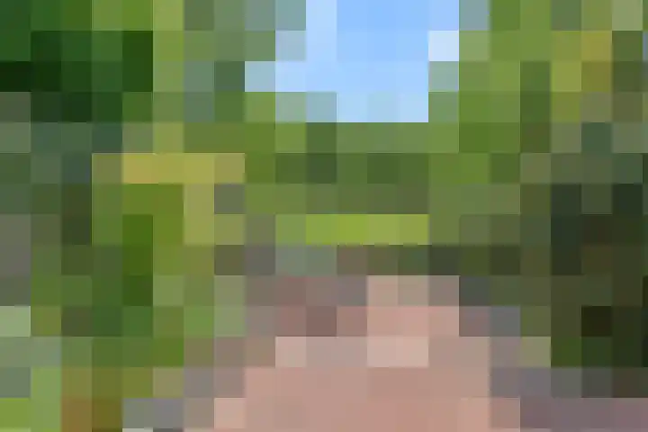 Levendaal 15 Ede thumbnail 6