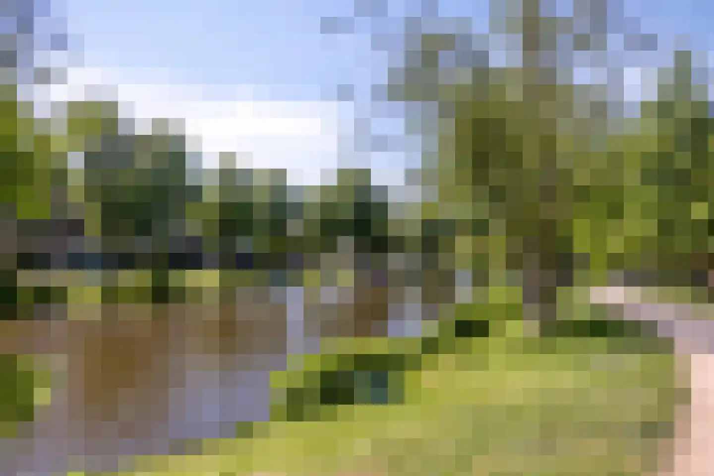 Levendaal 150 C Leiden thumbnail 37
