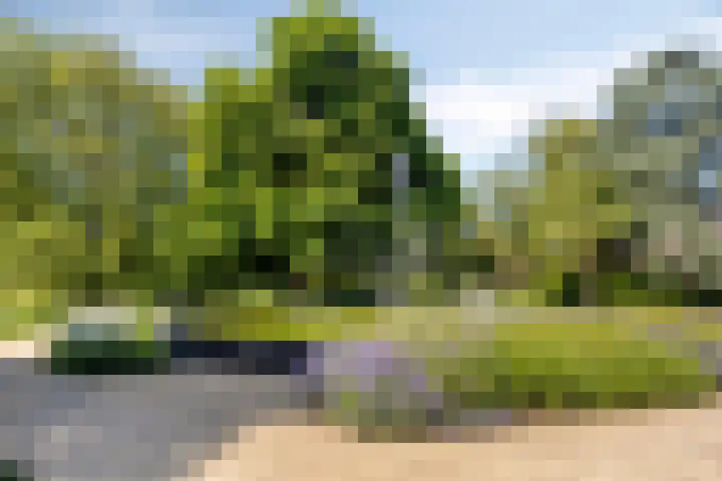 Levendaal 150 C Leiden thumbnail 38