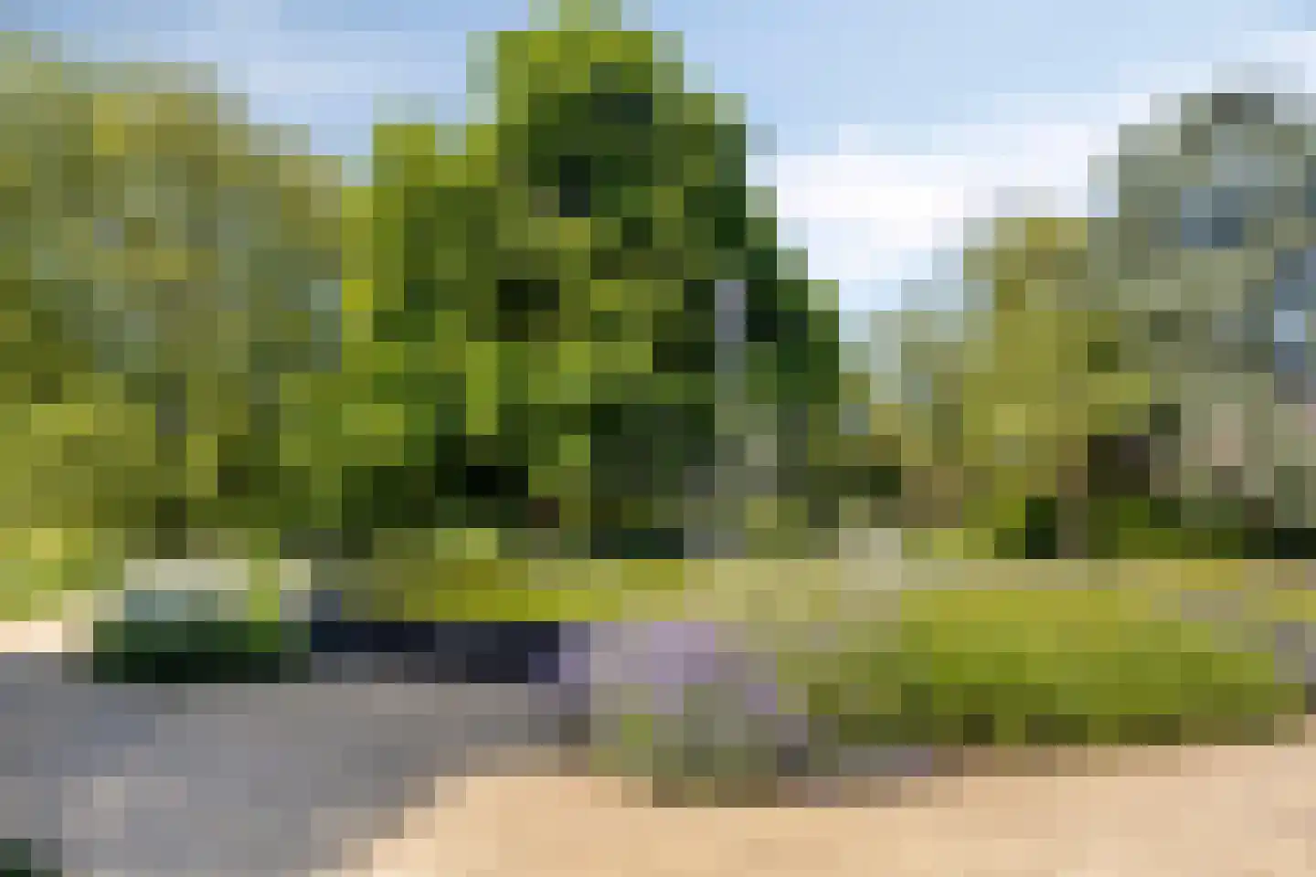 Levendaal 150 C Leiden thumbnail 38