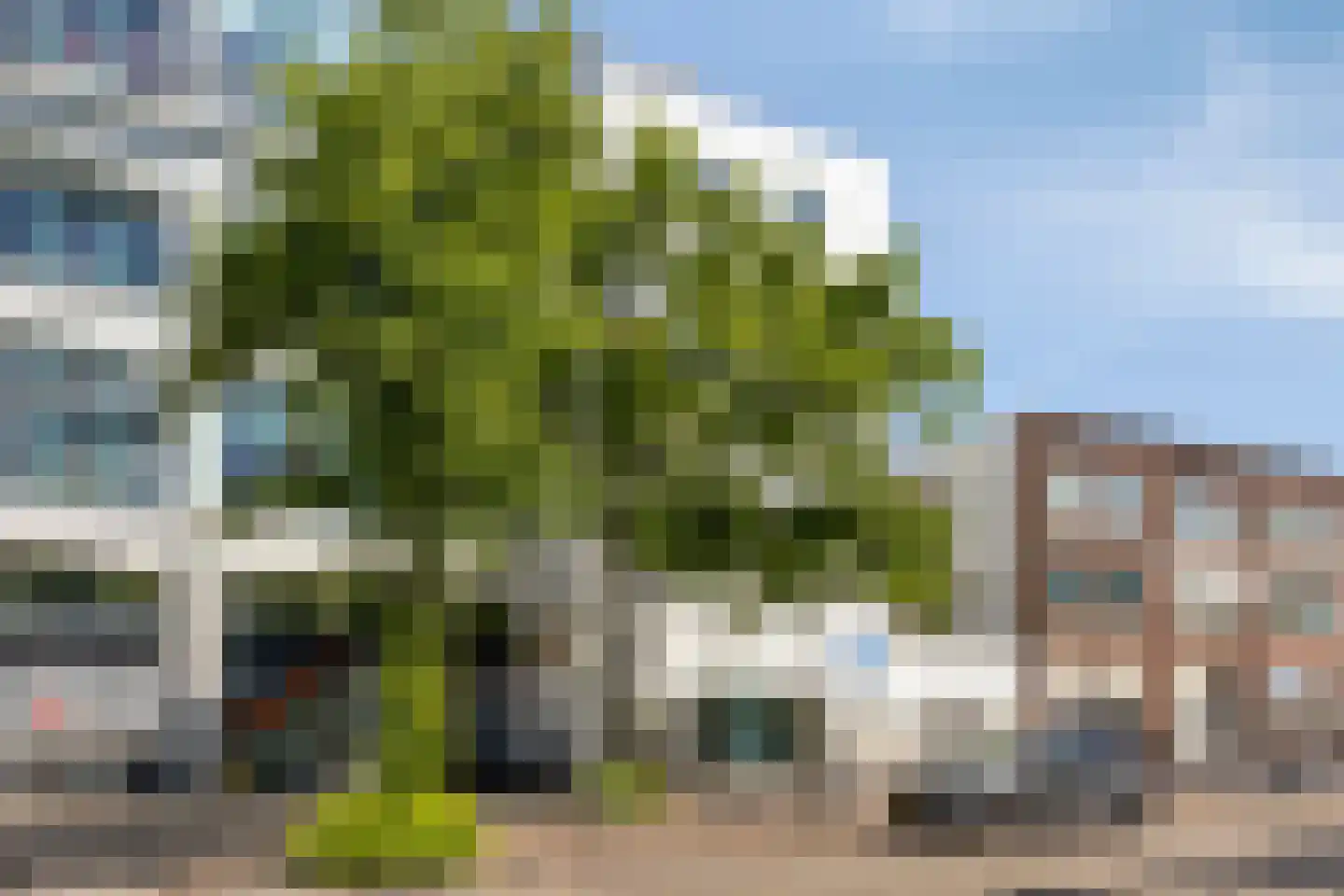 Levendaal 150 C Leiden thumbnail 8