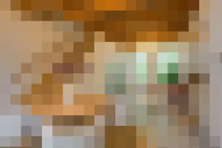Levendaal 153 Leiden thumbnail 11