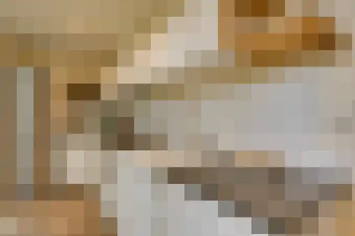 Levendaal 153 Leiden thumbnail 13