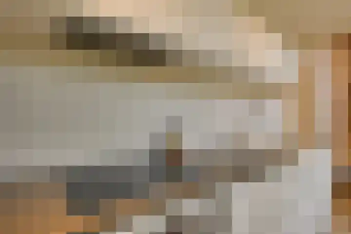 Levendaal 153 Leiden thumbnail 14