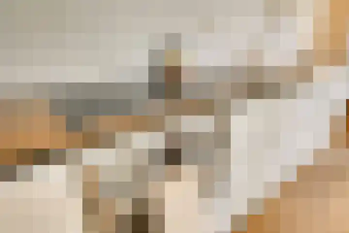 Levendaal 153 Leiden thumbnail 15