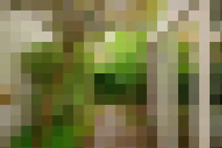 Levendaal 153 Leiden thumbnail 16