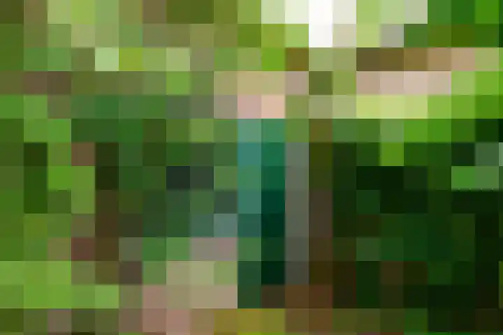 Levendaal 153 Leiden thumbnail 17
