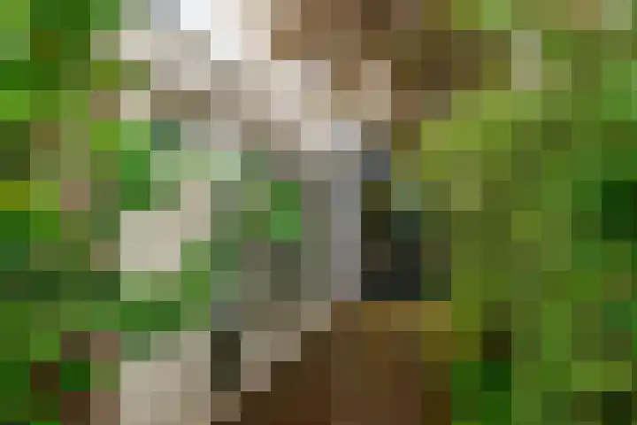 Levendaal 153 Leiden thumbnail 18