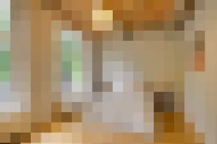 Levendaal 153 Leiden thumbnail 22