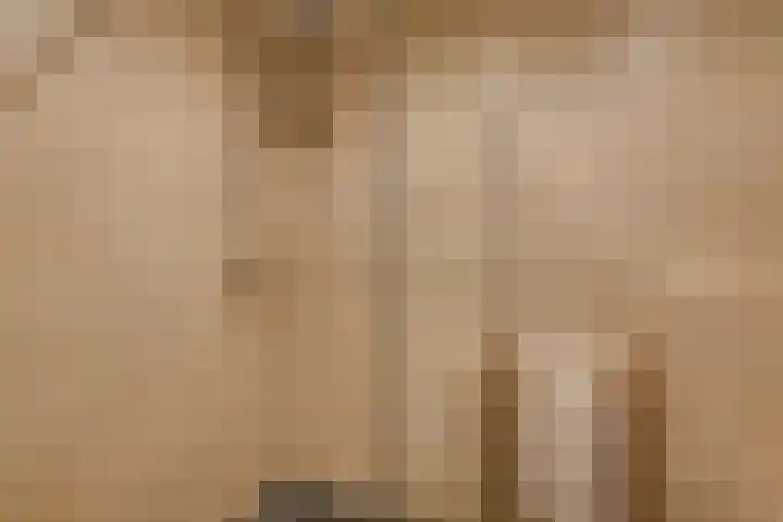Levendaal 153 Leiden thumbnail 26