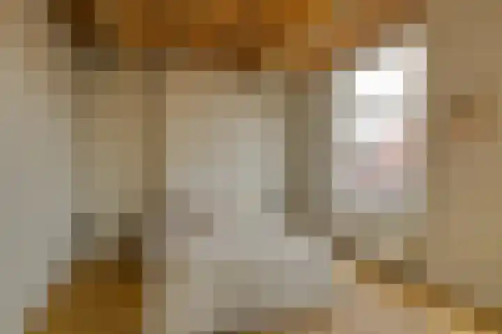 Levendaal 153 Leiden thumbnail 28