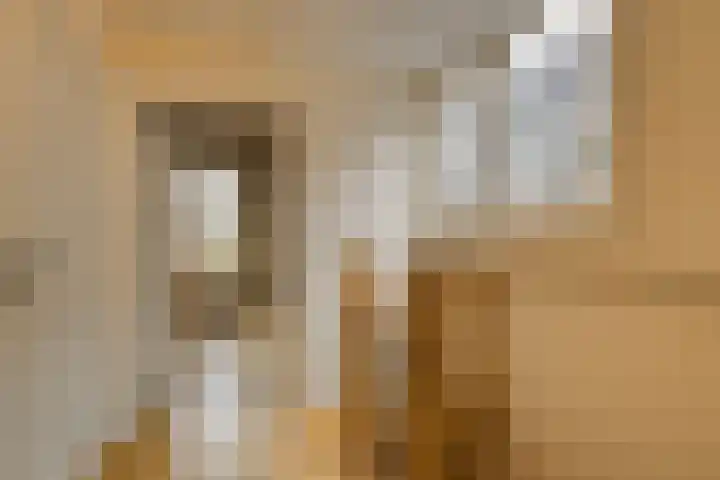Levendaal 153 Leiden thumbnail 30